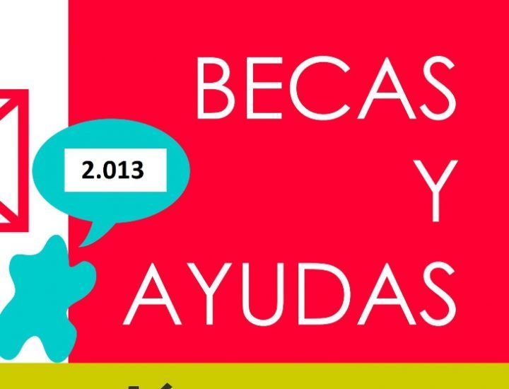 La Gomera registra unas 600 solicitudes de ayudas al estudio y transporte Becas y Ayudas 2013