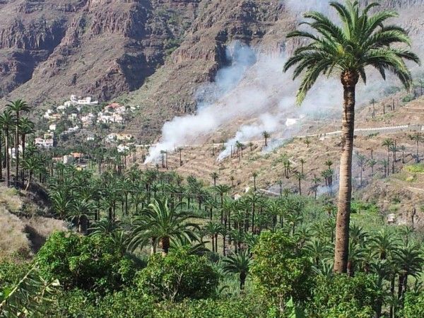 Quemas de rastrojos en Valle Gran Rey