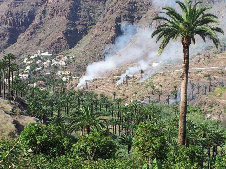 Quemas de rastrojos en Valle Gran Rey