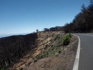 Vista parcial del resultado del incendio