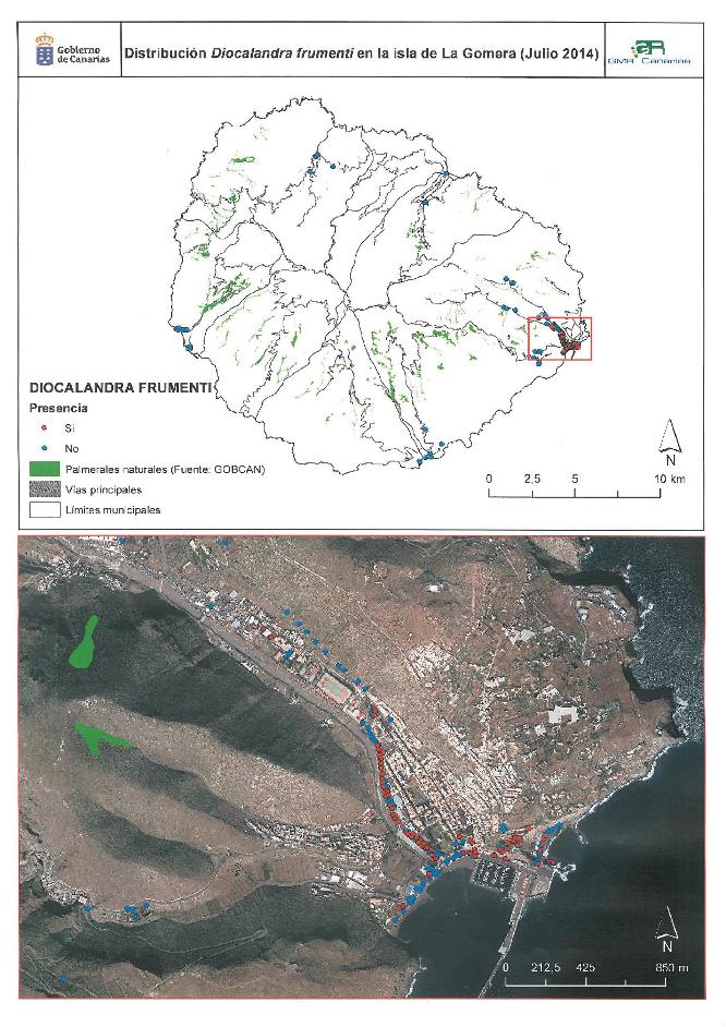 imagen en la que se puede ver el alcance de las palmeras afectadas en San Sebastián
