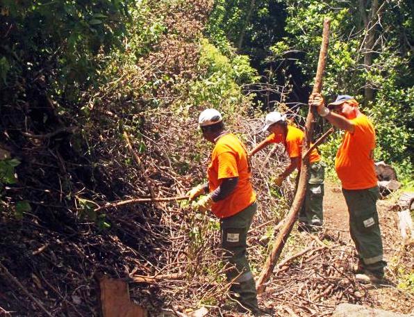 Ecomiendan a la empresa Gesplan un programa mediambiental de 3.000.000 € para 200 desempleados de La Gomera