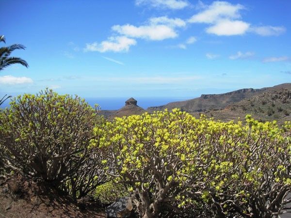 La Gomera contara con un parque eolico situado en Ayamosna