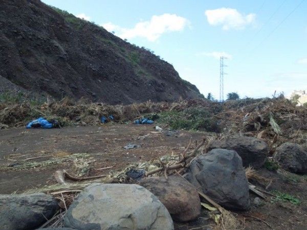 SSP-La Gomera considera que debe eliminarse inmediatamente la acumulación de material vegetal en la zona de La Higuerita-El Altito en Valle Gran Rey