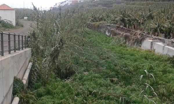 El Consejero Pepe Medina denuncia el estado de abandono del barranco de Hermigua