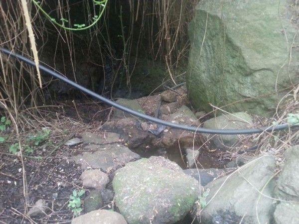 Hermigua podría estar tomando el agua potable del barranco de Los Tiles