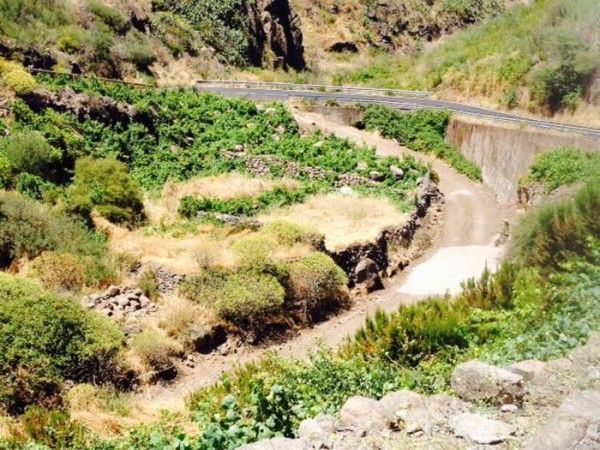 Sí se puede advierte de la realización de una pista que ocupa el cauce del barranco de La Jiguera en El Cercado
