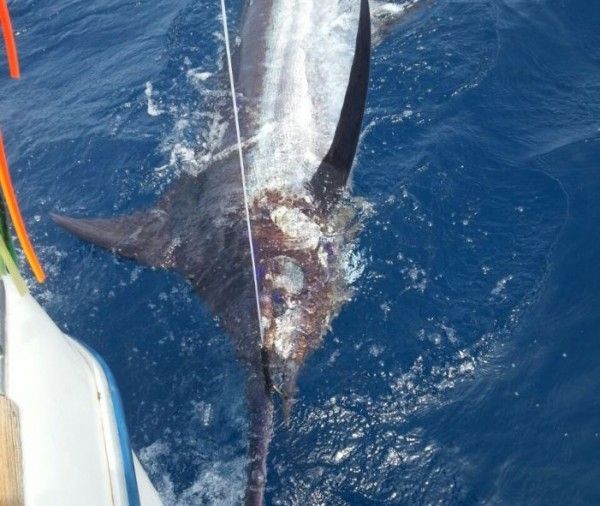 El PSOE celebra la aprobación de un texto que da a la pesca artesanal el protagonismo que merece