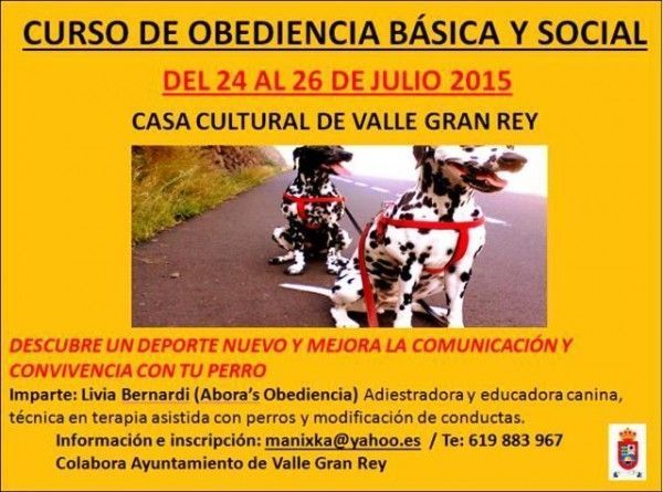 Curso de obediencia básica y social canina en Valle Gran Rey