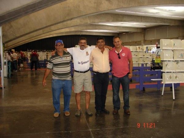 Éxito rotundo de la ornitologia gomera en el el concurso isla de Tenerife 2015