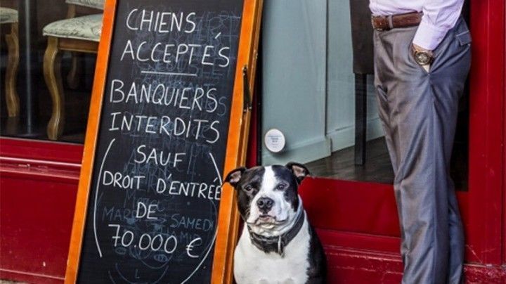 “Prohibida la entrada a banqueros. Los perros son bienvenidos”