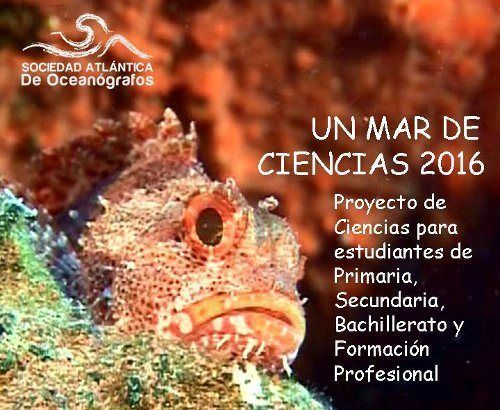 Fase final del concurso ‘Un Mar de Ciencias’