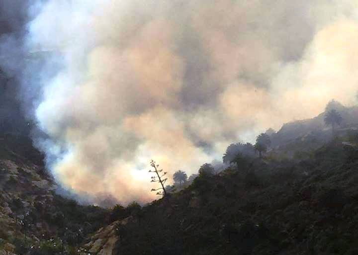 El pequeño incendio de El Cercado parece estar ya estabilizado