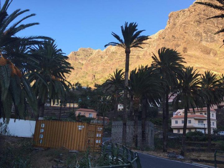 Sí se puede en Valle Gran Rey exhorta al Cabildo de La Gomera a vigilar los trabajos de poda de palmeras