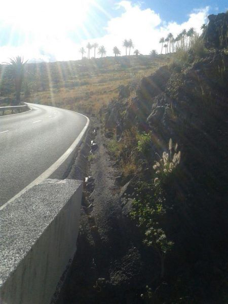 Sí se puede se pregunta si las cuadrillas de carreteras han sido formadas para eliminar correctamente el «rabo de gato»