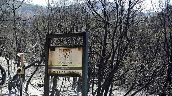 Sí se puede exige que cuatro años después haya claridad con respecto a la gestión del incendio de 2012