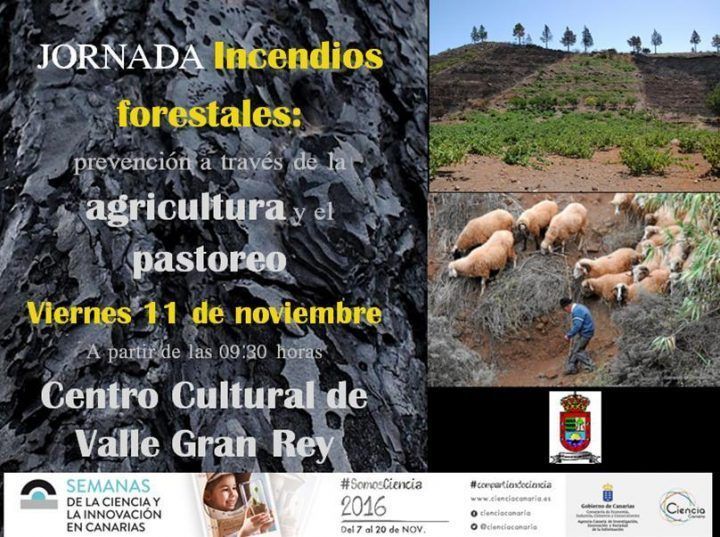 El Ayuntamiento de Valle Gran Rey organiza una jornada para prevenir los incendios forestales a través de la agricultura y la ganadería