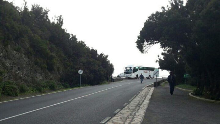SSP insta a desarrollar en La Gomera el modelo que promueve FITUR 2017 como Año del Turismo Sostenible para el Desarrollo