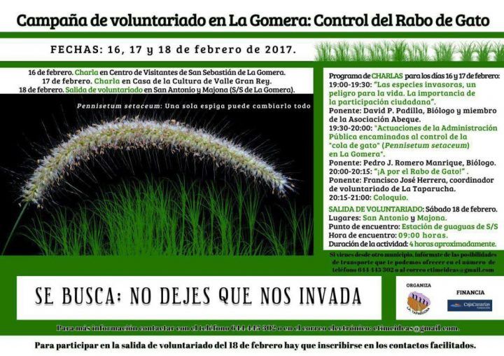 Se inicia otra campaña de voluntariado en La Gomera para el control del “rabo de gato