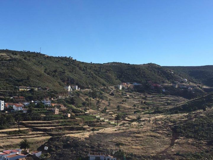Tradiciones de La Gomera: la mejor fruta de Arure, en su ‘Ramo’