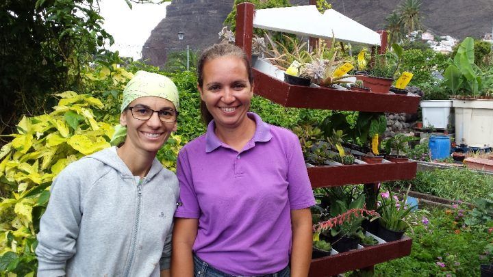 Hortigom Agricultura Sana: “Cultivamos, vendemos y queremos recuperar el amor por la tierra”