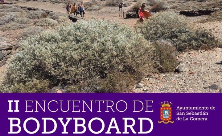 San Sebastián de La Gomera organiza su segundo encuentro de bodyboard el 30 de septiembre