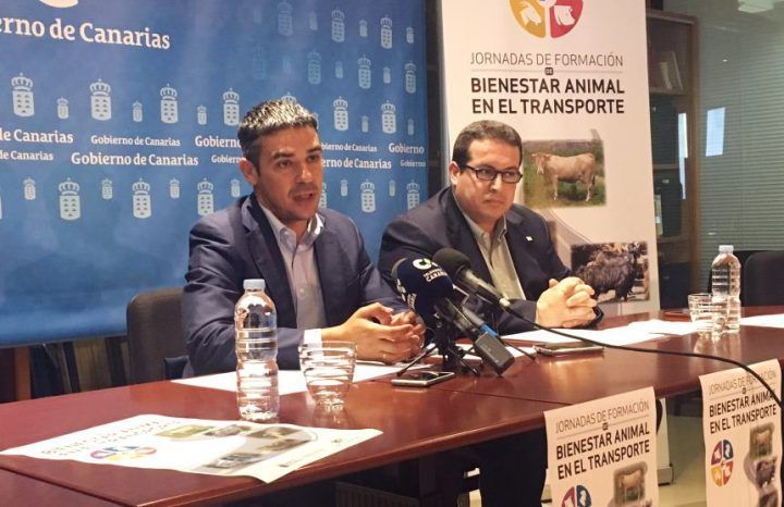 El Gobierno canario impartirá del 6 al 9 de noviembre los cursos para el certificado de transporte animal en La Gomera