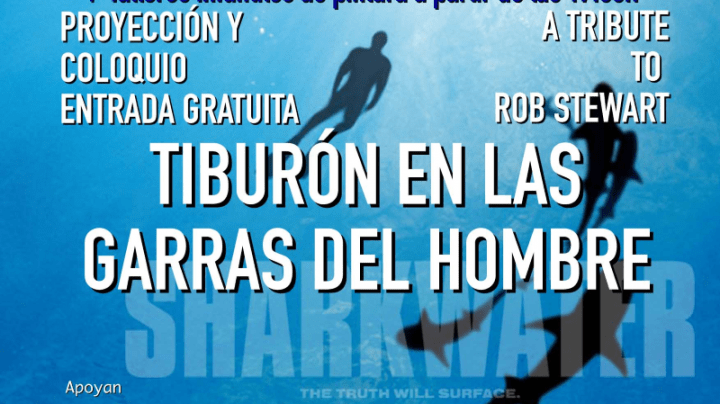 Hermigua acoge hoy diferentes actividades relacionadas con el mar y los tiburones