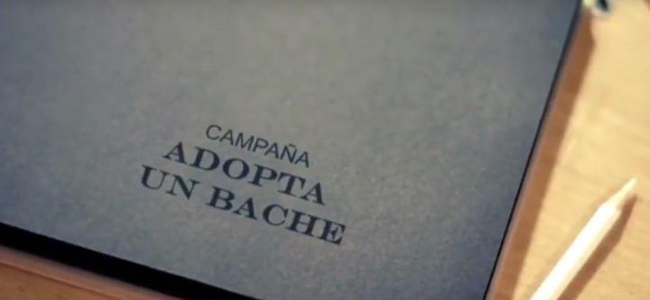 Mírame TV lanza la campaña de concienciación #AdoptaunBache ante el mal estado de las carreteras de Tenerife