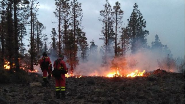 Dos helicópteros se incorporan a la lucha contra el fuego en Granadilla, donde se han quemado 30 hectáreas