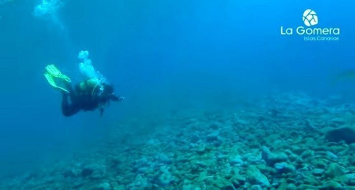 Una asociación de personalidades alemanas visita La Gomera para impulsar su promoción en Europa