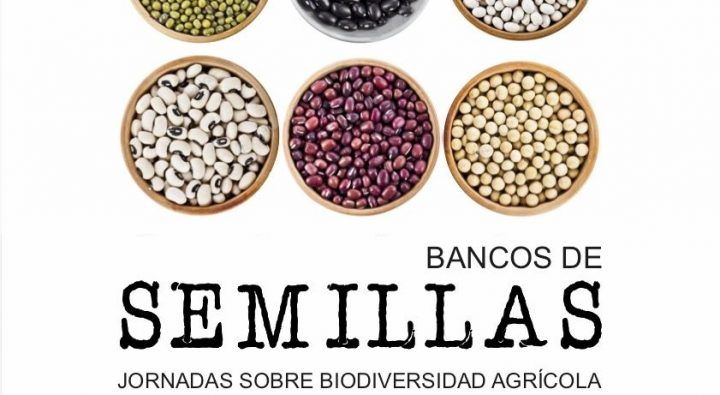 El Ayuntamiento organiza unas jornadas sobre biodiversidad agrícola en San Sebastián