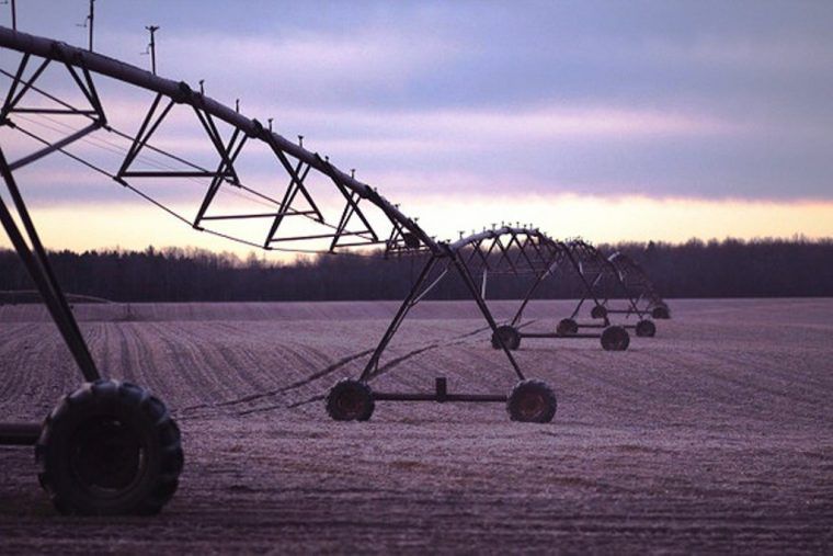 Inteligencia artificial para ahorrar agua en los regadíos