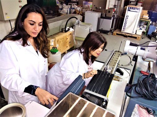 Biocompuestos derivados del trigo como alternativa a los plásticos