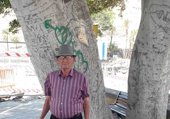 El laurel de indias de El Calvario, lleva 50 años dando sombra