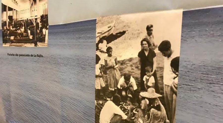 Mujeres luchadoras que sustentan nuestro entorno rural