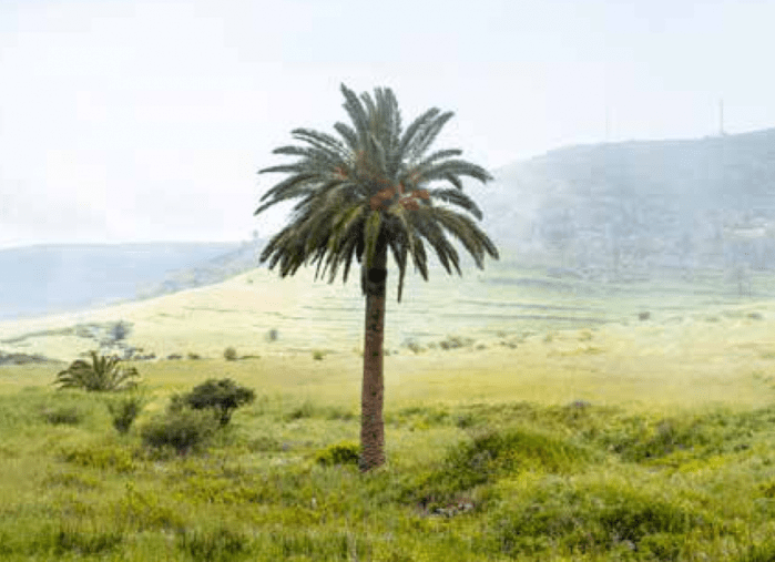 La reconocida publicación austriaca ‘Bergwelten’ recomienda La Gomera a sus más de 250 mil lectores