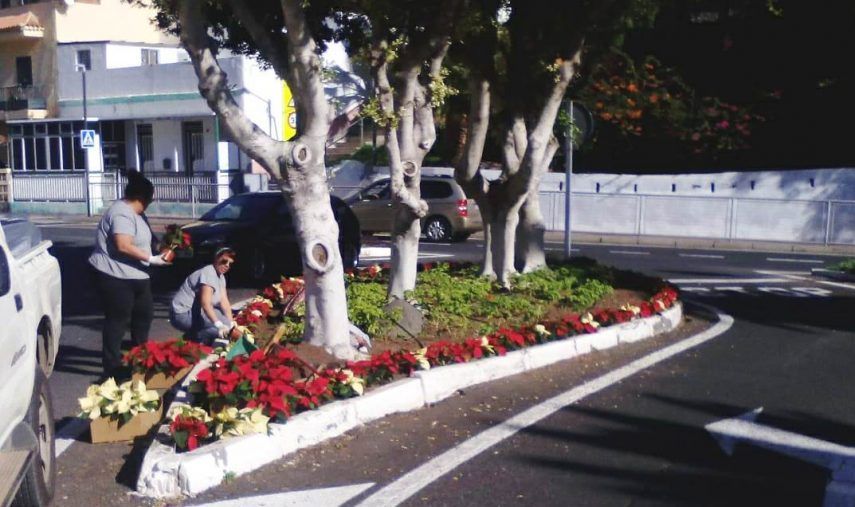 El Ayuntamiento decora San Sebastián de La Gomera con mil quinientas flores de pascua