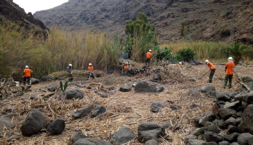 El Cabildo avanza en la retirada de residuos vegetales con el proyecto de mejoras medioambientales