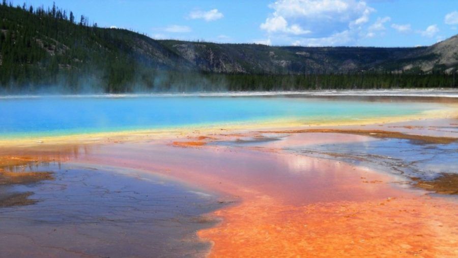 Yellowstone: Imágenes por satélite muestran cómo una nueva zona termal ‘mata’ al bosque que la rodea
