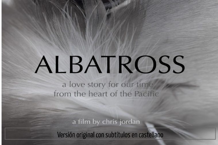 La Gomera, de la mano de la organización SEO/BirdLife, acoge la proyección del impactante documental Albatross