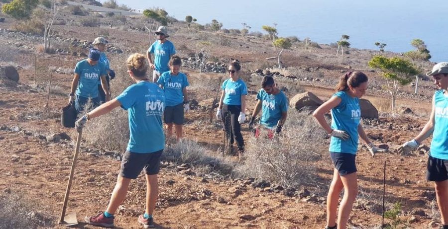 El Cabildo acerca el proyecto ‘Plántate’ a los alumnos universitarios de Ruta Siete
