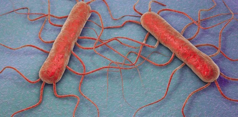 Listeria, una maestra del camuflaje que se adueña de nuestras células