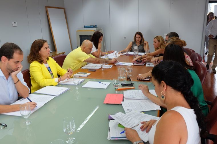 Primer encuentro de coordinación de Noemí Santana con los Cabildos insulares en materia social