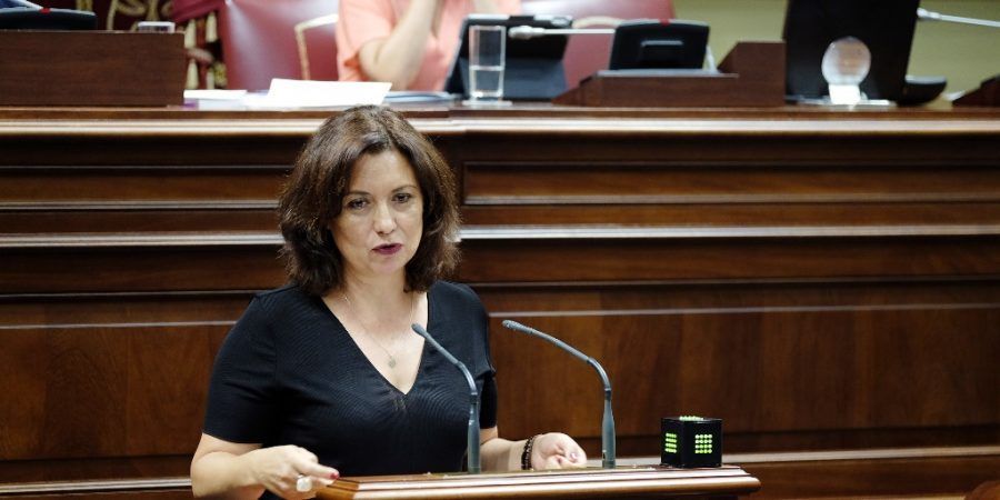 El PSOE solicita al Estado la revisión y planificación de los recursos en la lucha contra los incendios en Canarias