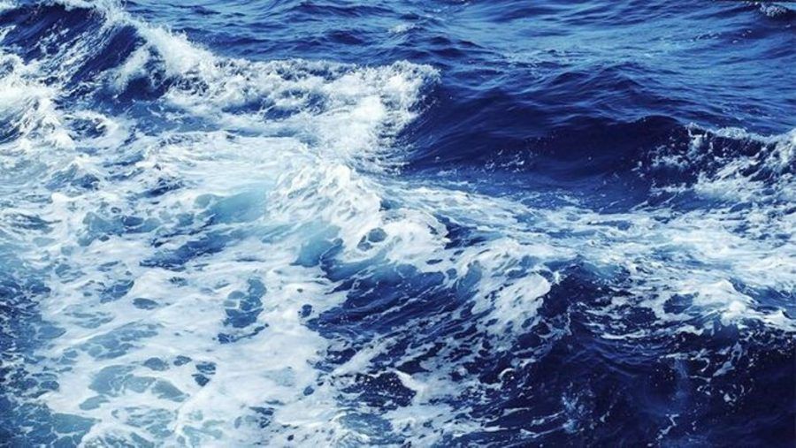 Investigadores del ITC publican un artículo científico sobre el uso de agua desalada en la agricultura