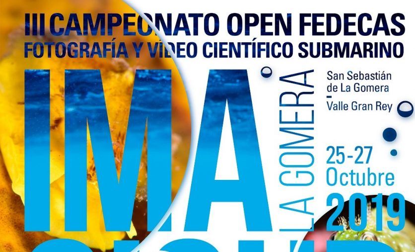 Valle Gran Rey acoge el III Campeonato Open FEDECAS de Imagen Científica Submarina