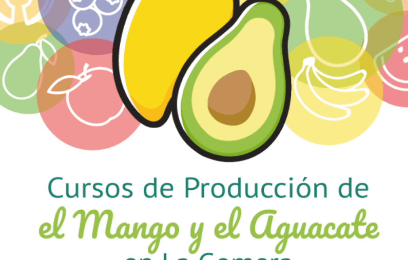 El Cabildo de La Gomera apuesta por la formación en el sector primario con un curso sobre producción de mango y aguacate