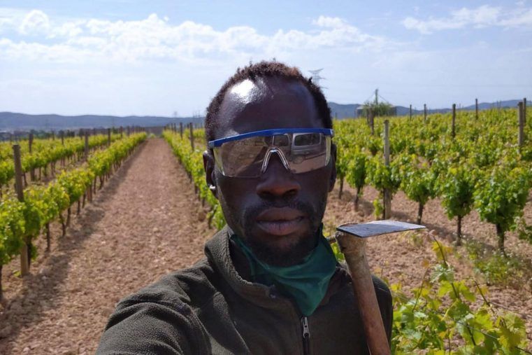 (Temporeros) Serigne Mamadou: “Trabajamos doce horas por 25 euros”