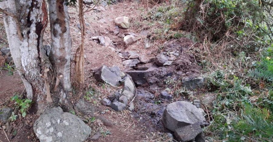 El Cabildo ejecuta tareas de limpieza en los nacientes de la isla